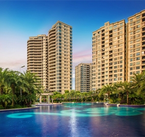 碧桂園集團(tuán)